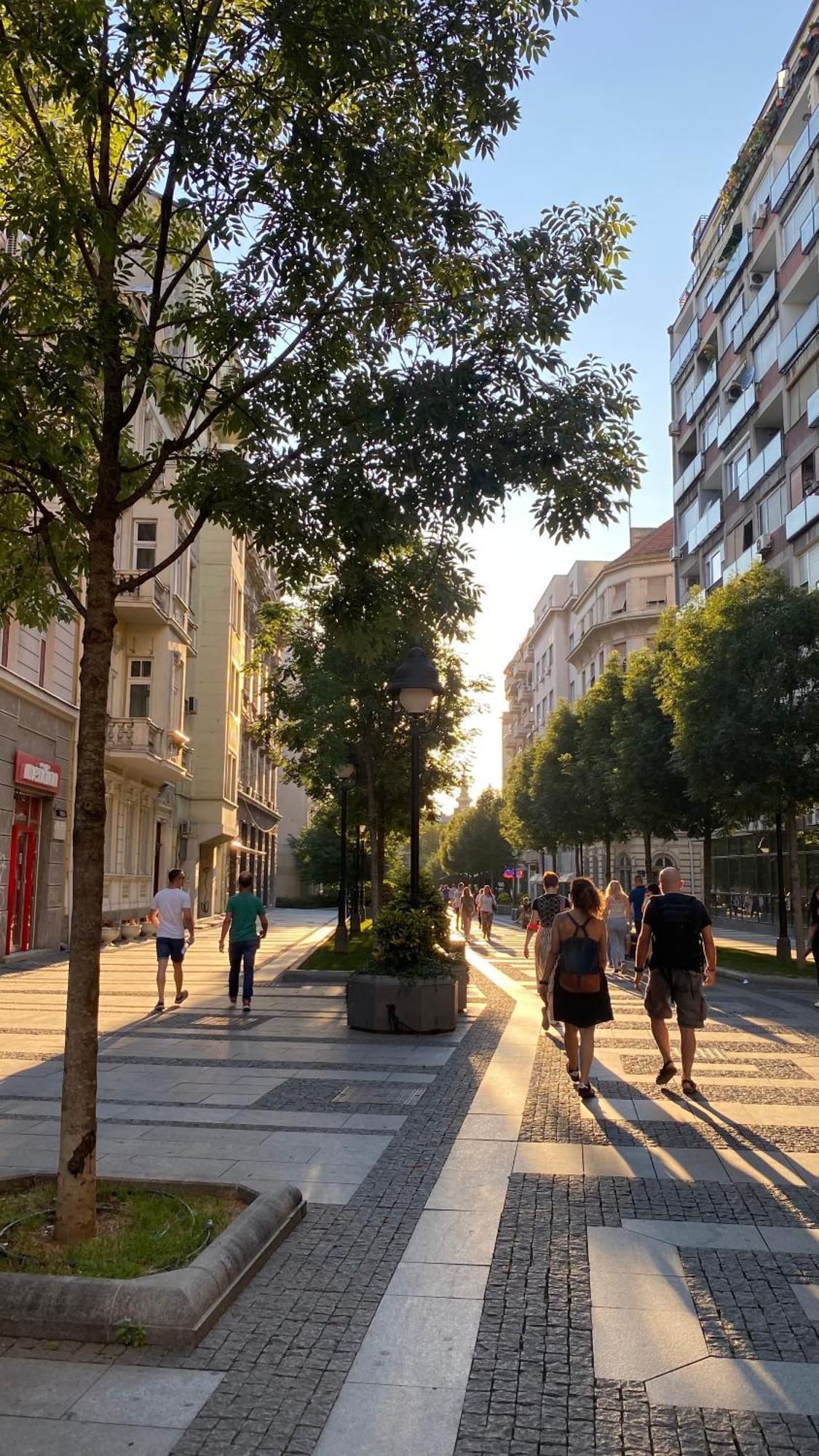Dom Boutique Apartments - Old Town Beograd Eksteriør billede
